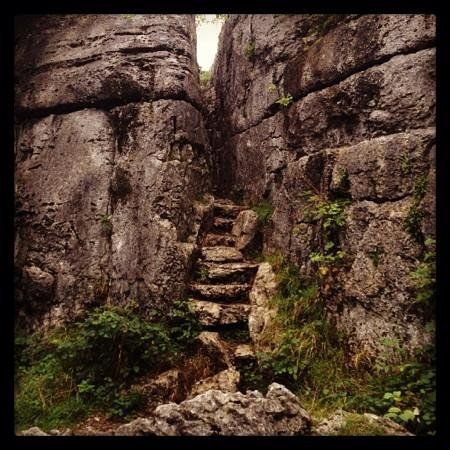 Fairy Steps