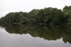 Whins Pond