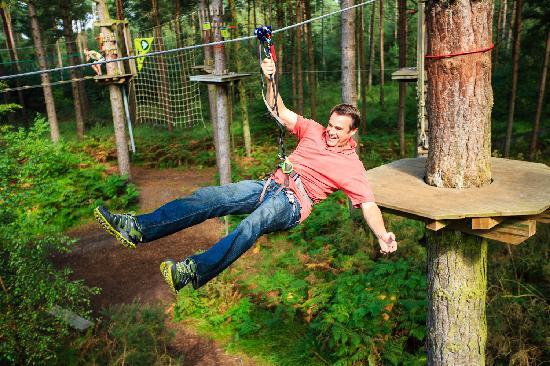 Go Ape Whinlatter Forest Park