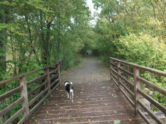 Keswick Railway Path