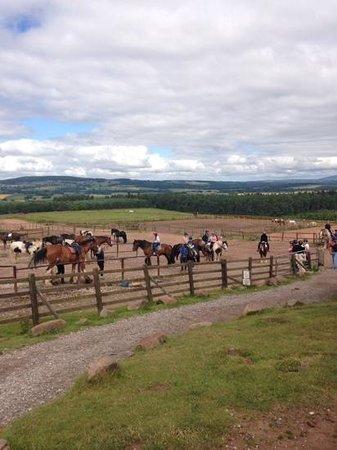 Leacett Cottage Riding Centre