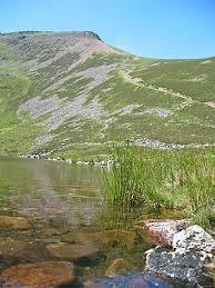 Red Pike
