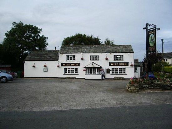 The Wild Duck